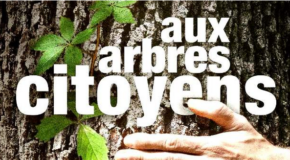 AUX ARBRES CITOYENS ! 1ère Grande journée de l’arbre à VENCE – 05/11